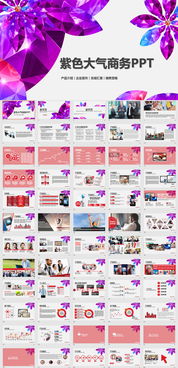 專業(yè)營銷與高效匯報 產(chǎn)品介紹與工作總結(jié)PPT模板